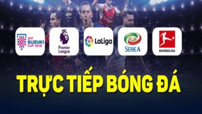 Khám phá các kênh xembongdatructiep uy tín nhất châu lục