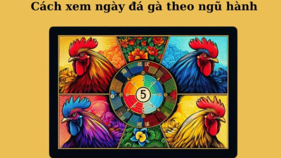 Bí quyết xem ngày đá gà tốt tăng tỷ lệ chiến thắng cho người mới