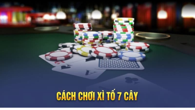 Cách chơi xì tố 7 cây - Mẹo chơi xì tố 7 cây luôn thắng